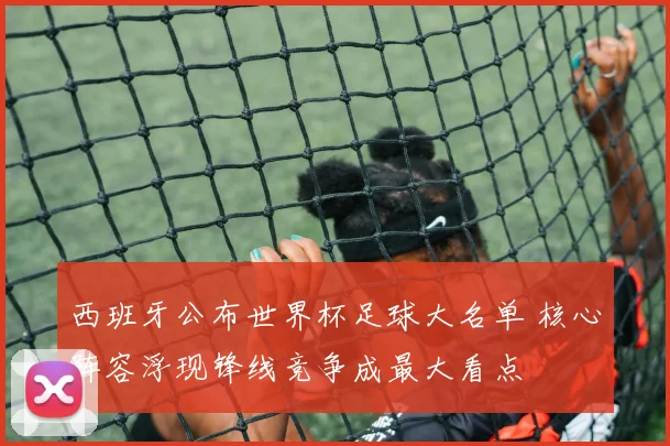 西班牙公布世界杯足球大名单 核心阵容浮现锋线竞争成最大看点