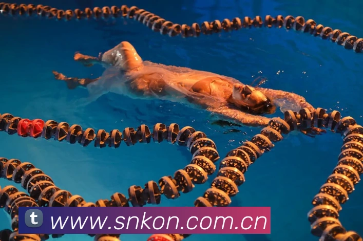 milan登录入口全站App milan登录入口全站App